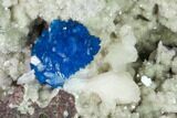 Vibrant Blue Cavansite Cluster on Stilbite - India #168256-2